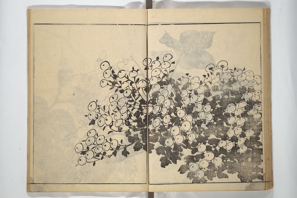 Soken Picture Album: The Plant Section (Soken gafu: Sōka no bu)  素絢画譜 草花之部, Yamaguchi Soken 山口素絢 (Japanese, 1759–1818), Woodblock printed book; ink on paper, Japan