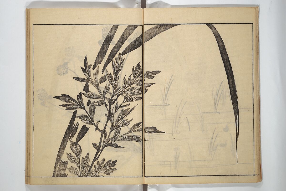 Soken Picture Album: The Plant Section (Soken gafu: Sōka no bu)  素絢画譜 草花之部, Yamaguchi Soken 山口素絢 (Japanese, 1759–1818), Woodblock printed book; ink on paper, Japan