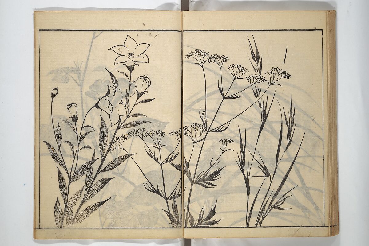 Soken Picture Album: The Plant Section (Soken gafu: Sōka no bu)  素絢画譜 草花之部, Yamaguchi Soken 山口素絢 (Japanese, 1759–1818), Woodblock printed book; ink on paper, Japan