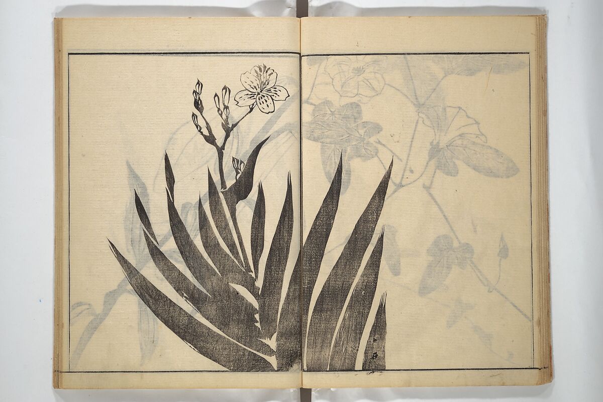 Soken Picture Album: The Plant Section (Soken gafu: Sōka no bu)  素絢画譜 草花之部, Yamaguchi Soken 山口素絢 (Japanese, 1759–1818), Woodblock printed book; ink on paper, Japan