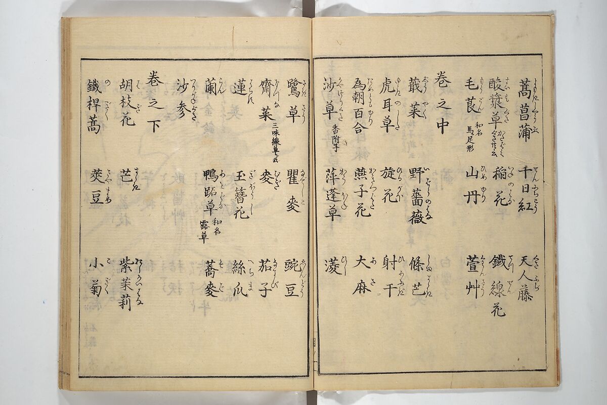 Soken Picture Album: The Plant Section (Soken gafu: Sōka no bu)  素絢画譜 草花之部, Yamaguchi Soken 山口素絢 (Japanese, 1759–1818), Woodblock printed book; ink on paper, Japan