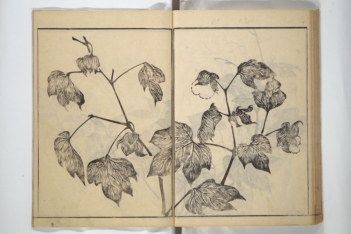 Soken Picture Album: The Plant Section (Soken gafu: Sōka no bu)  素絢画譜 草花之部, Yamaguchi Soken 山口素絢 (Japanese, 1759–1818), Woodblock printed book; ink on paper, Japan