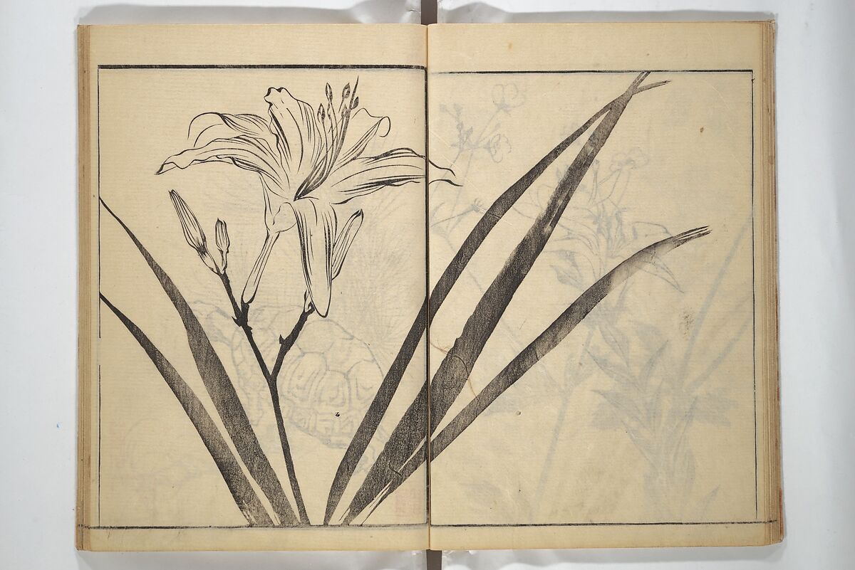 Soken Picture Album: The Plant Section (Soken gafu: Sōka no bu)  素絢画譜 草花之部, Yamaguchi Soken 山口素絢 (Japanese, 1759–1818), Woodblock printed book; ink on paper, Japan