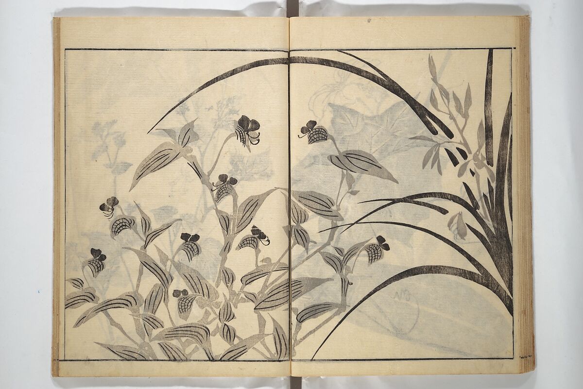 Soken Picture Album: The Plant Section (Soken gafu: Sōka no bu)  素絢画譜 草花之部, Yamaguchi Soken 山口素絢 (Japanese, 1759–1818), Woodblock printed book; ink on paper, Japan