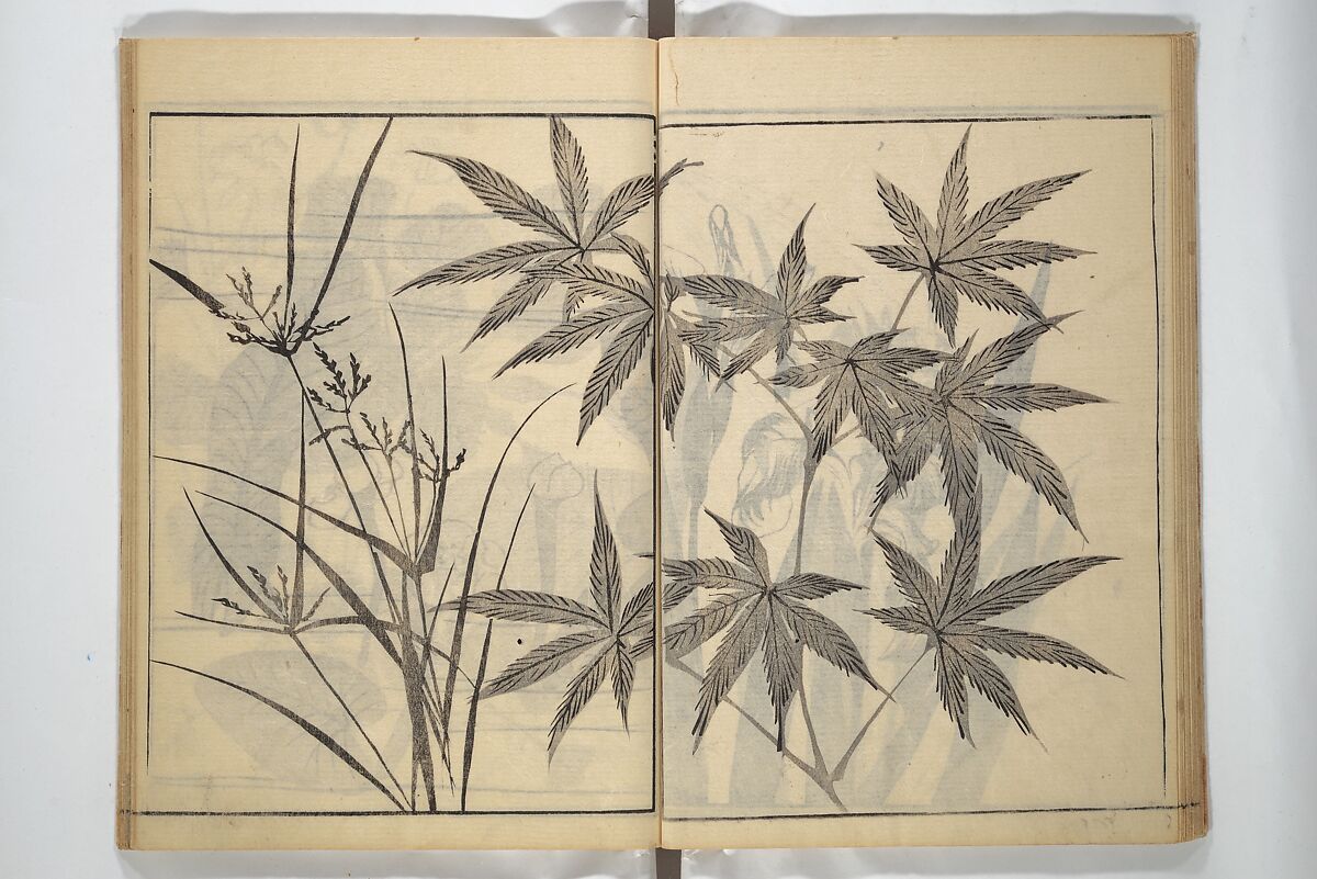 Soken Picture Album: The Plant Section (Soken gafu: Sōka no bu)  素絢画譜 草花之部, Yamaguchi Soken 山口素絢 (Japanese, 1759–1818), Woodblock printed book; ink on paper, Japan