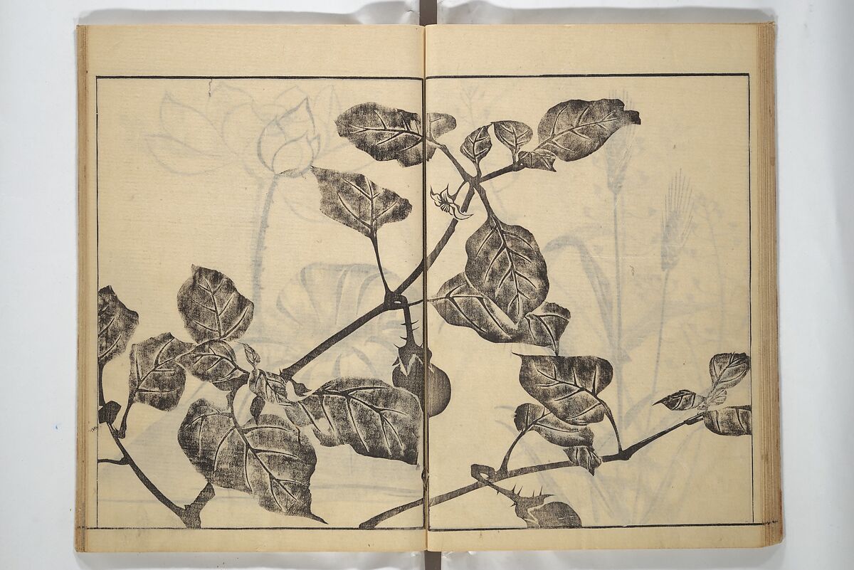 Soken Picture Album: The Plant Section (Soken gafu: Sōka no bu)  素絢画譜 草花之部, Yamaguchi Soken 山口素絢 (Japanese, 1759–1818), Woodblock printed book; ink on paper, Japan