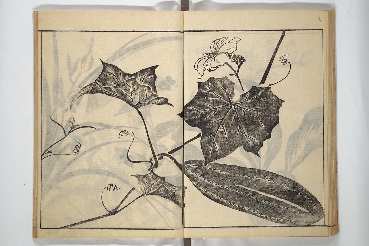 Soken Picture Album: The Plant Section (Soken gafu: Sōka no bu)  素絢画譜 草花之部, Yamaguchi Soken 山口素絢 (Japanese, 1759–1818), Woodblock printed book; ink on paper, Japan
