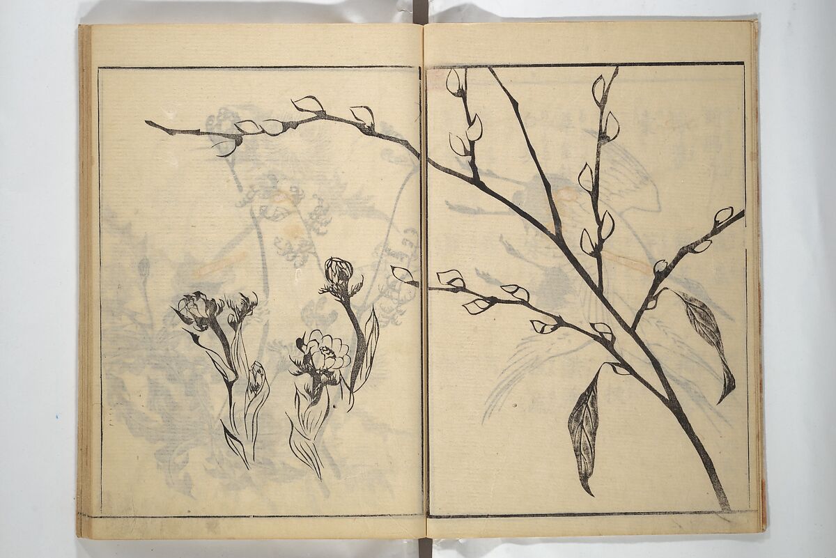 Soken Picture Album: The Plant Section (Soken gafu: Sōka no bu)  素絢画譜 草花之部, Yamaguchi Soken 山口素絢 (Japanese, 1759–1818), Woodblock printed book; ink on paper, Japan
