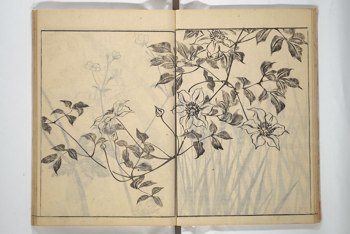 Soken Picture Album: The Plant Section (Soken gafu: Sōka no bu)  素絢画譜 草花之部, Yamaguchi Soken 山口素絢 (Japanese, 1759–1818), Woodblock printed book; ink on paper, Japan
