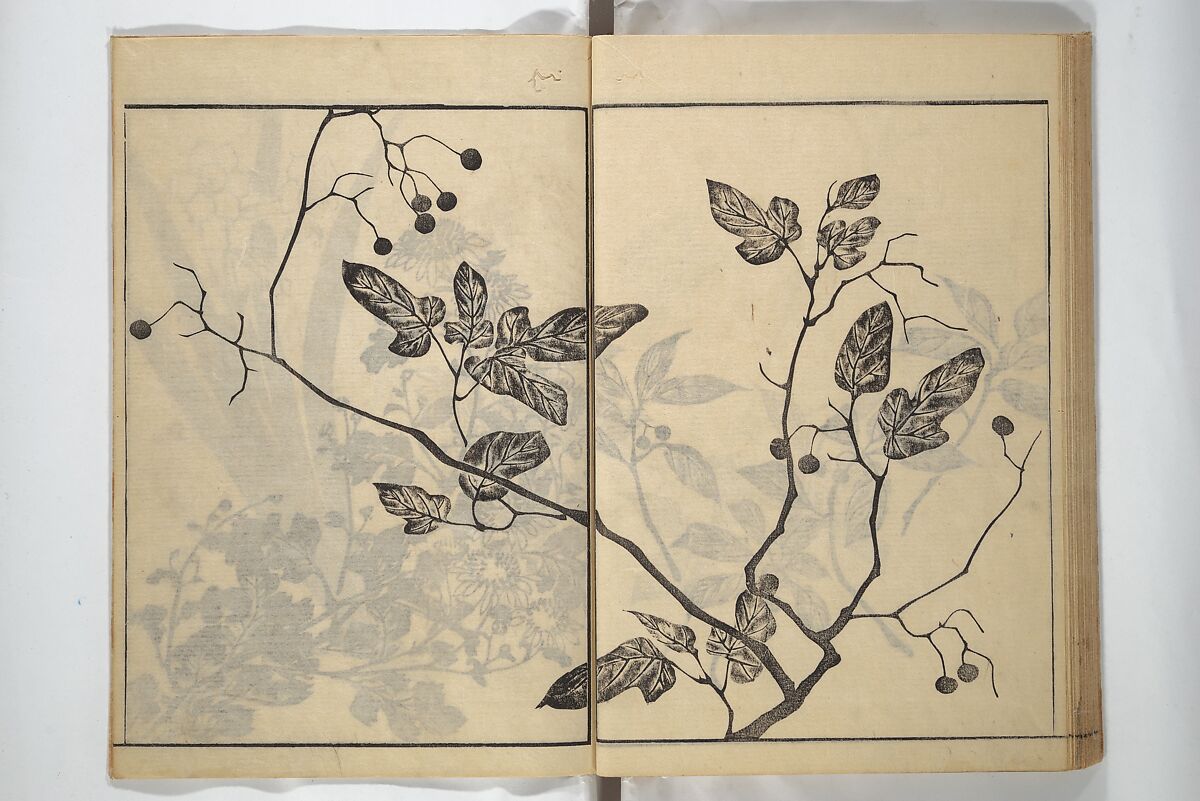 Soken Picture Album: The Plant Section (Soken gafu: Sōka no bu)  素絢画譜 草花之部, Yamaguchi Soken 山口素絢 (Japanese, 1759–1818), Woodblock printed book; ink on paper, Japan