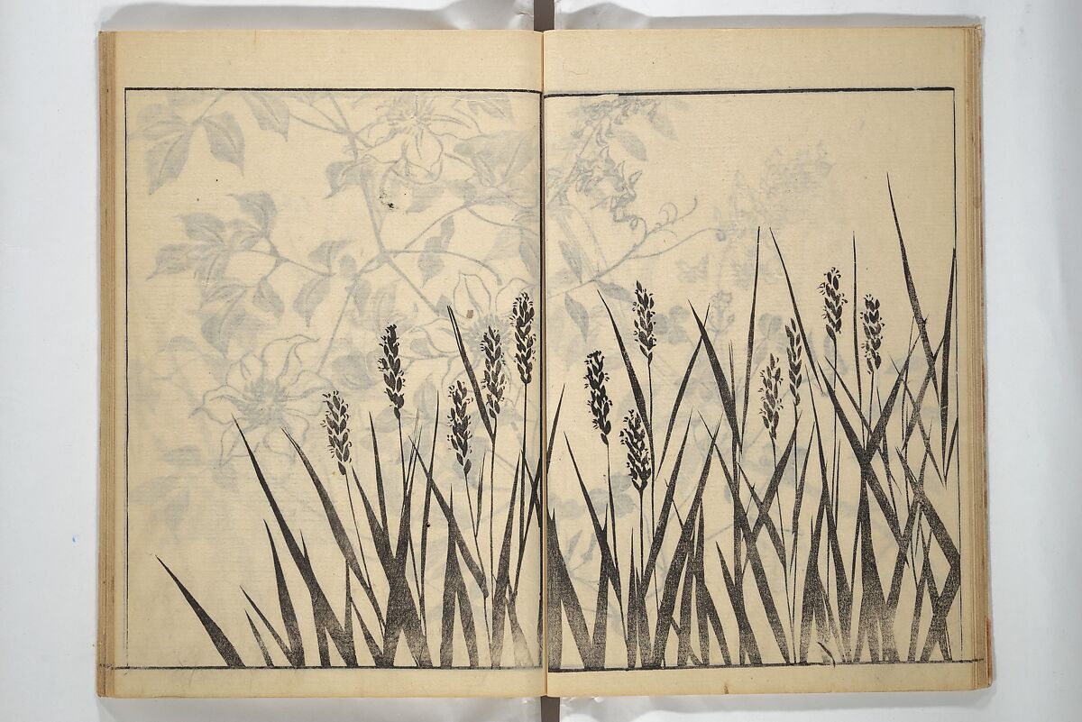 Soken Picture Album: The Plant Section (Soken gafu: Sōka no bu)  素絢画譜 草花之部, Yamaguchi Soken 山口素絢 (Japanese, 1759–1818), Woodblock printed book; ink on paper, Japan