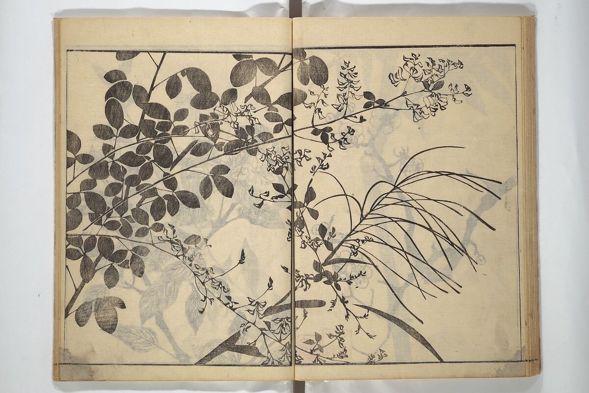 Soken Picture Album: The Plant Section (Soken gafu: Sōka no bu)  素絢画譜 草花之部, Yamaguchi Soken 山口素絢 (Japanese, 1759–1818), Woodblock printed book; ink on paper, Japan