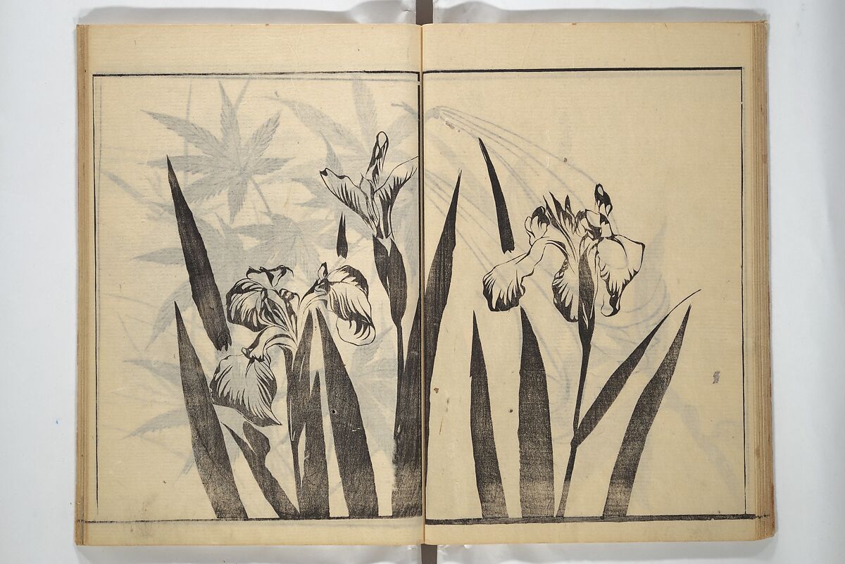 Soken Picture Album: The Plant Section (Soken gafu: Sōka no bu)  素絢画譜 草花之部, Yamaguchi Soken 山口素絢 (Japanese, 1759–1818), Woodblock printed book; ink on paper, Japan