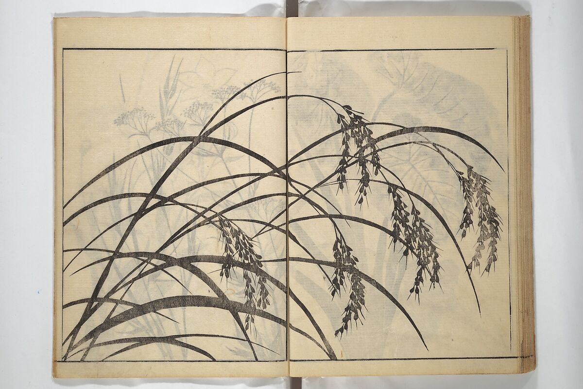 Soken Picture Album: The Plant Section (Soken gafu: Sōka no bu)  素絢画譜 草花之部, Yamaguchi Soken 山口素絢 (Japanese, 1759–1818), Woodblock printed book; ink on paper, Japan
