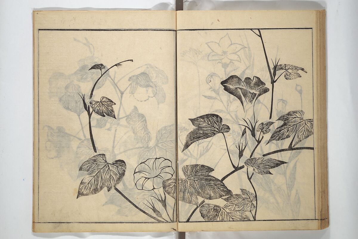 Soken Picture Album: The Plant Section (Soken gafu: Sōka no bu)  素絢画譜 草花之部, Yamaguchi Soken 山口素絢 (Japanese, 1759–1818), Woodblock printed book; ink on paper, Japan
