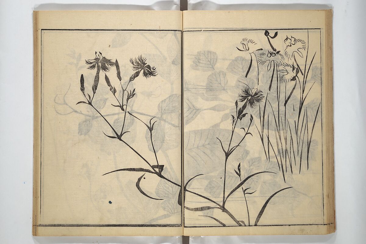 Soken Picture Album: The Plant Section (Soken gafu: Sōka no bu)  素絢画譜 草花之部, Yamaguchi Soken 山口素絢 (Japanese, 1759–1818), Woodblock printed book; ink on paper, Japan