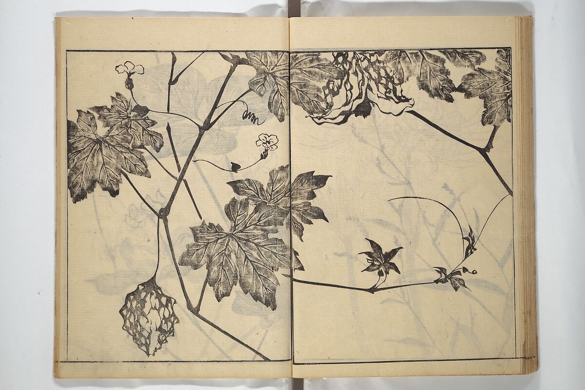 Soken Picture Album: The Plant Section (Soken gafu: Sōka no bu)  素絢画譜 草花之部, Yamaguchi Soken 山口素絢 (Japanese, 1759–1818), Woodblock printed book; ink on paper, Japan