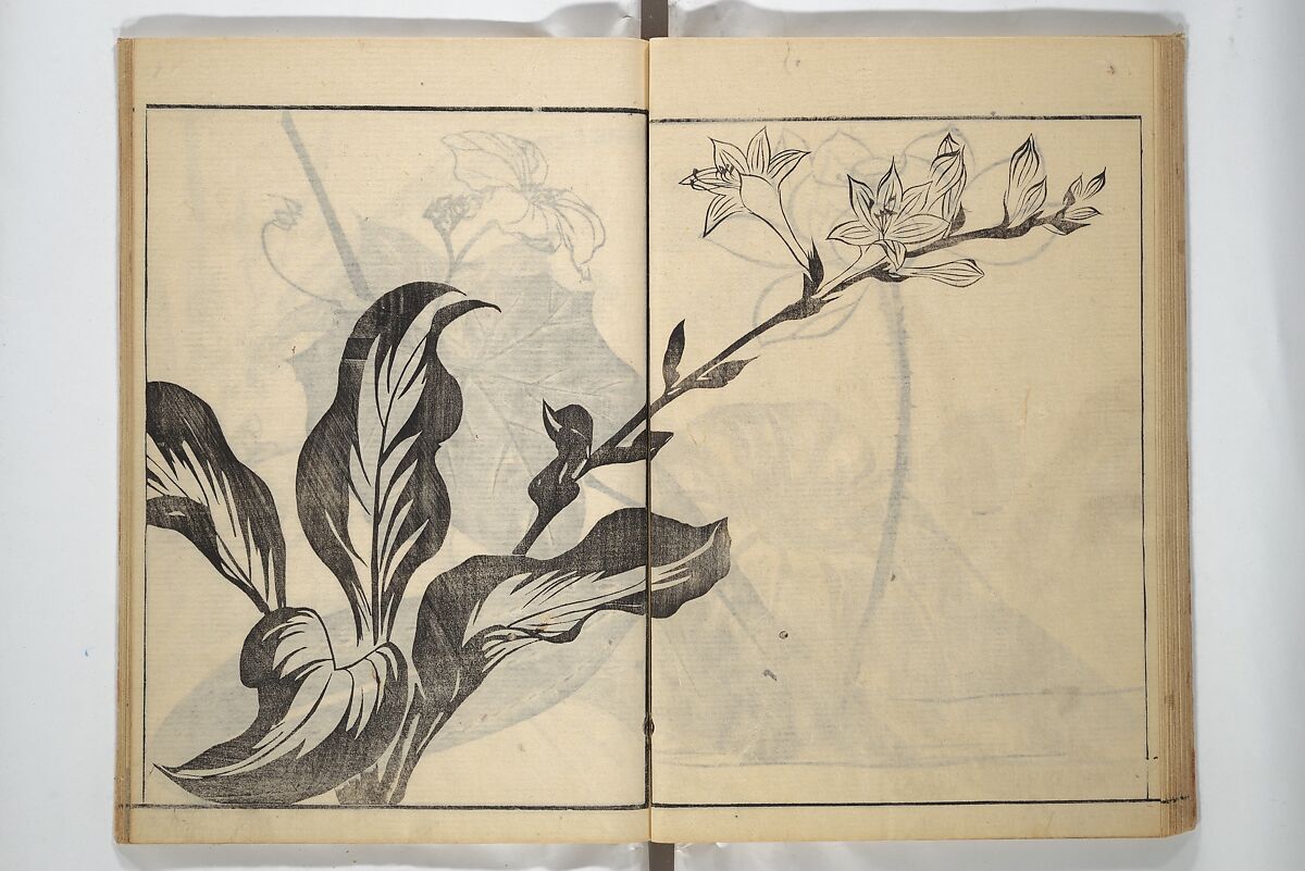 Soken Picture Album: The Plant Section (Soken gafu: Sōka no bu)  素絢画譜 草花之部, Yamaguchi Soken 山口素絢 (Japanese, 1759–1818), Woodblock printed book; ink on paper, Japan