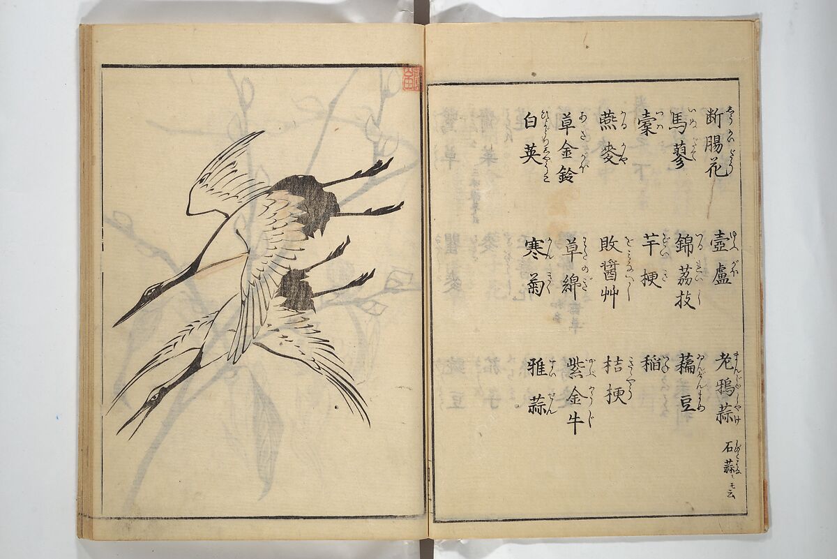 Soken Picture Album: The Plant Section (Soken gafu: Sōka no bu)  素絢画譜 草花之部, Yamaguchi Soken 山口素絢 (Japanese, 1759–1818), Woodblock printed book; ink on paper, Japan