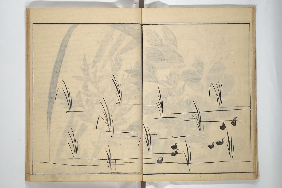 Soken Picture Album: The Plant Section (Soken gafu: Sōka no bu)  素絢画譜 草花之部, Yamaguchi Soken 山口素絢 (Japanese, 1759–1818), Woodblock printed book; ink on paper, Japan