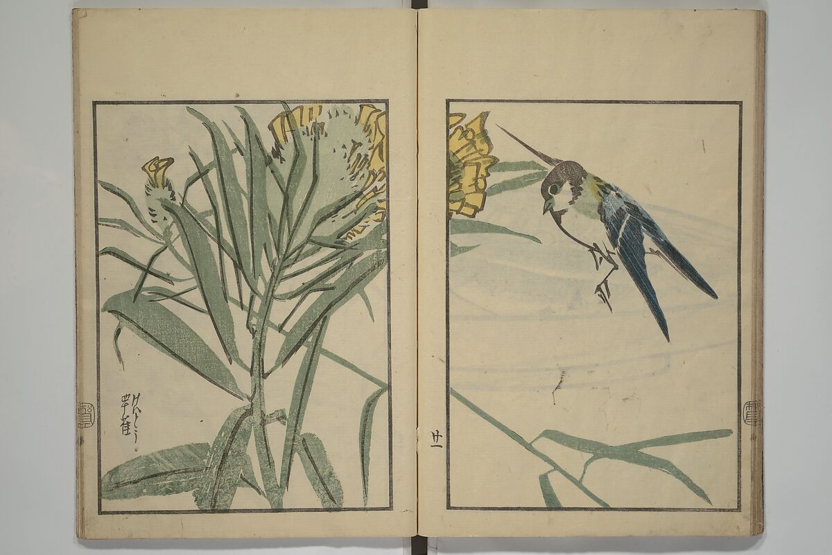 Suiseki Picture Album (Suiseki gafu nihen), Second Series 水石画譜 二編, Satō Suiseki 佐藤水石 (Japanese, active 1806–40), Woodblock printed book; ink and color on paper, Japan