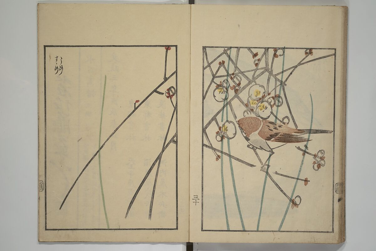 Suiseki Picture Album (Suiseki gafu nihen), Second Series 水石画譜 二編, Satō Suiseki 佐藤水石 (Japanese, active 1806–40), Woodblock printed book; ink and color on paper, Japan