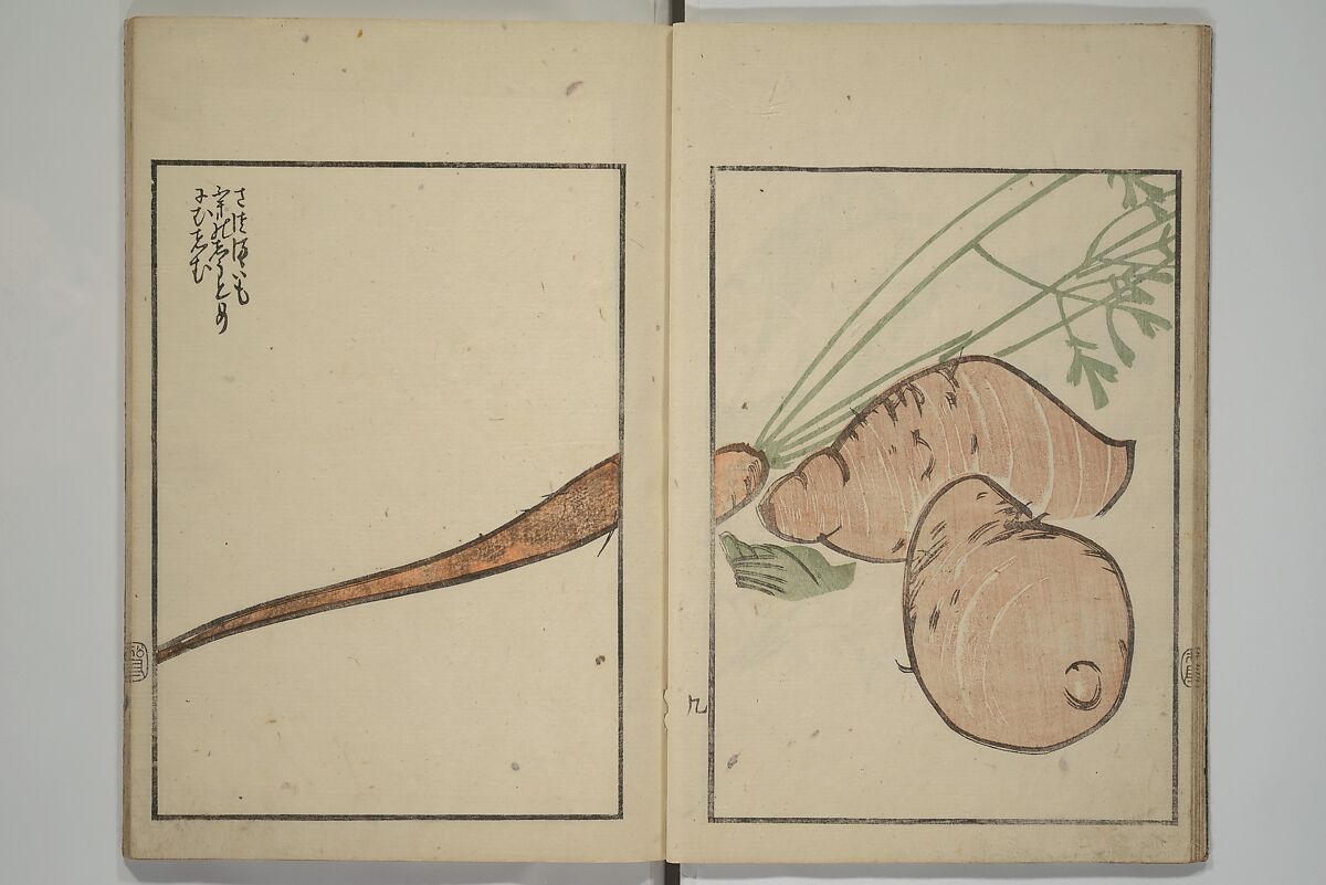 Suiseki Picture Album (Suiseki gafu nihen), Second Series 水石画譜 二編, Satō Suiseki 佐藤水石 (Japanese, active 1806–40), Woodblock printed book; ink and color on paper, Japan