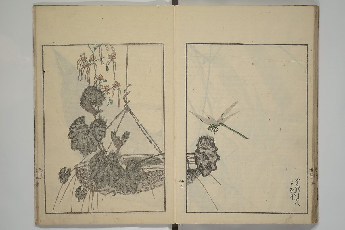 Suiseki Picture Album (Suiseki gafu nihen), Second Series 水石画譜 二編, Satō Suiseki 佐藤水石 (Japanese, active 1806–40), Woodblock printed book; ink and color on paper, Japan