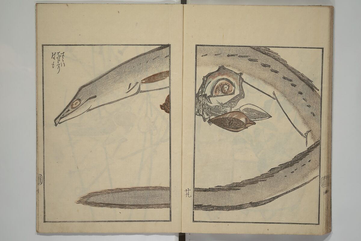 Suiseki Picture Album (Suiseki gafu nihen), Second Series 水石画譜 二編, Satō Suiseki 佐藤水石 (Japanese, active 1806–40), Woodblock printed book; ink and color on paper, Japan