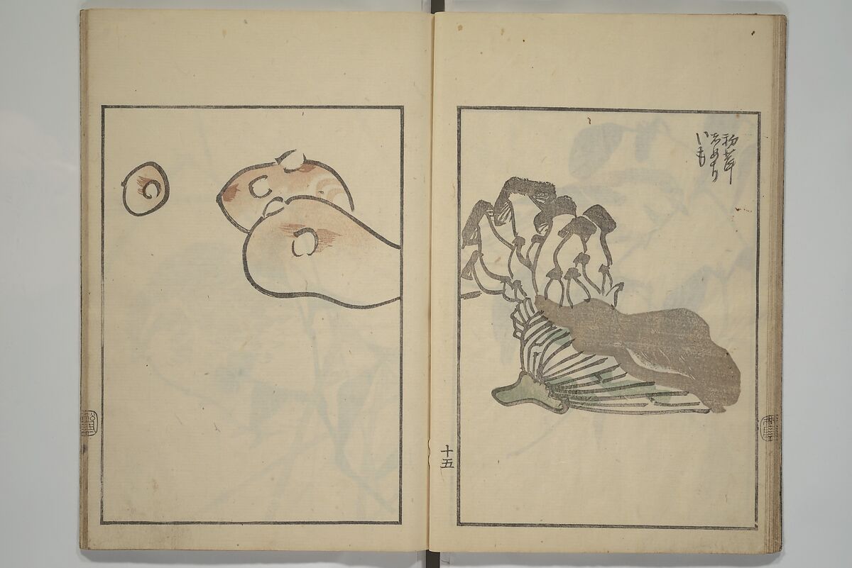 Suiseki Picture Album (Suiseki gafu nihen), Second Series 水石画譜 二編, Satō Suiseki 佐藤水石 (Japanese, active 1806–40), Woodblock printed book; ink and color on paper, Japan
