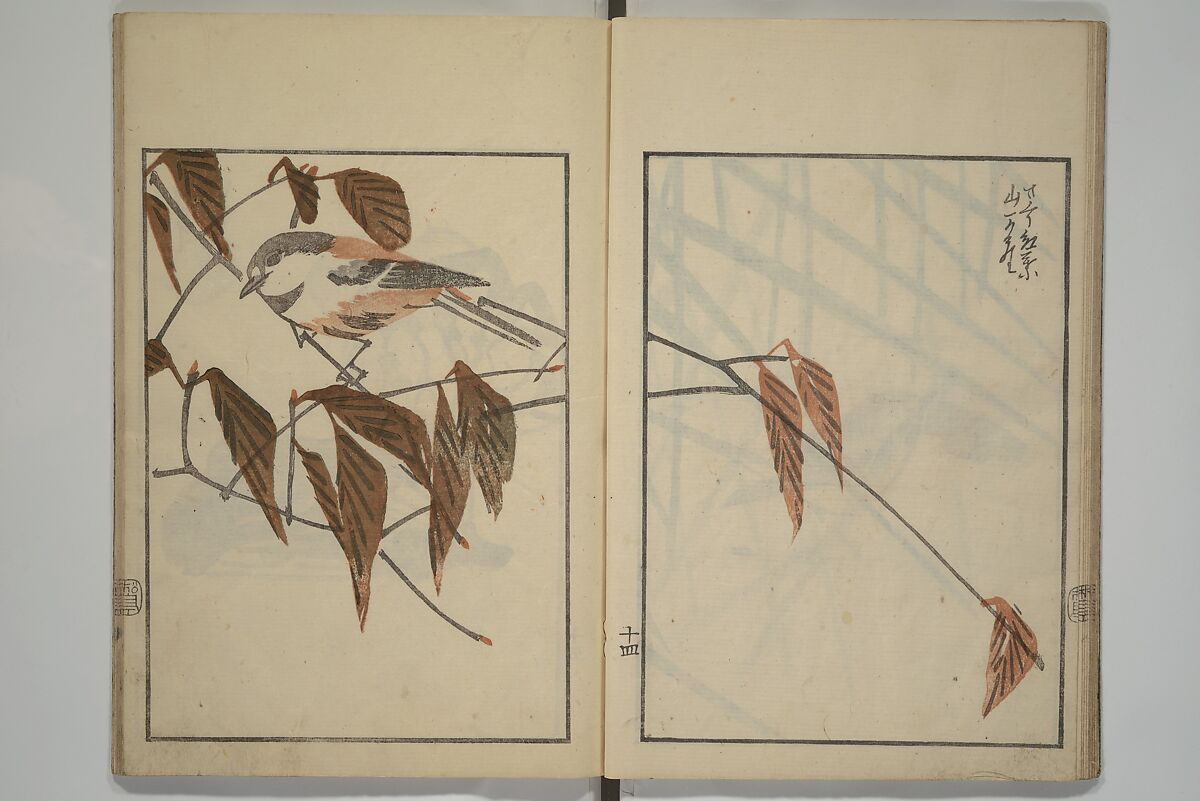 Suiseki Picture Album (Suiseki gafu nihen), Second Series 水石画譜 二編, Satō Suiseki 佐藤水石 (Japanese, active 1806–40), Woodblock printed book; ink and color on paper, Japan