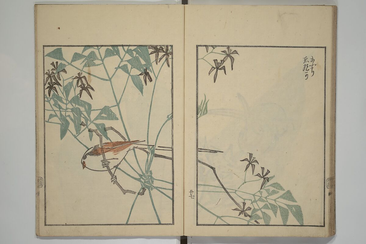 Suiseki Picture Album (Suiseki gafu nihen), Second Series 水石画譜 二編, Satō Suiseki 佐藤水石 (Japanese, active 1806–40), Woodblock printed book; ink and color on paper, Japan
