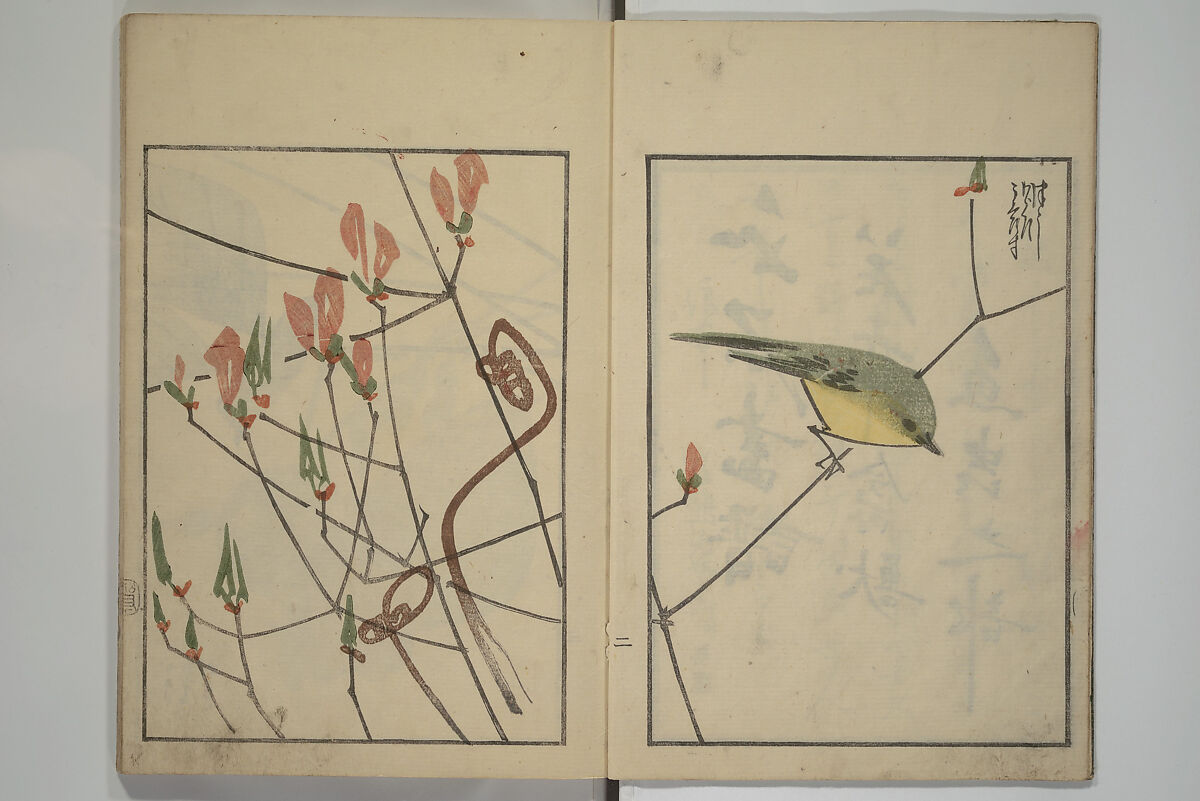 Suiseki Picture Album (Suiseki gafu nihen), Second Series 水石画譜 二編, Satō Suiseki 佐藤水石 (Japanese, active 1806–40), Woodblock printed book; ink and color on paper, Japan 