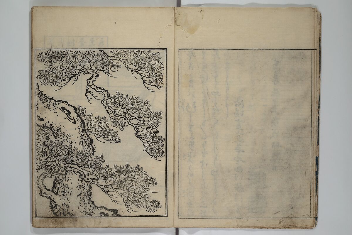 Picture Book of the Evergreens (Ehon tokiwagusa) 繪本常盤草, Nishikawa Sukenobu 西川祐信 (Japanese, 1671–1750), Woodblock-printed book; ink and hand-coloring on paper, Japan
