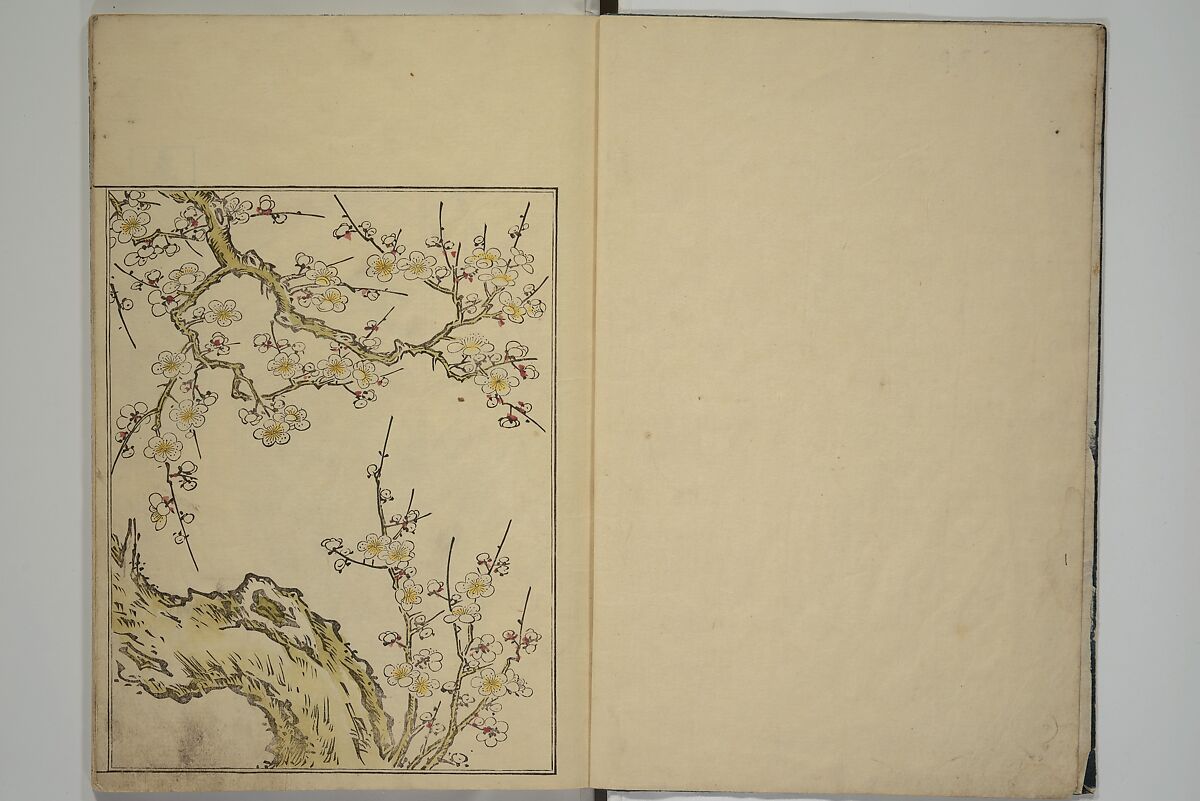Picture Book of the Evergreens (Ehon tokiwagusa) 繪本常盤草, Nishikawa Sukenobu 西川祐信 (Japanese, 1671–1750), Woodblock printed book; ink and hand-coloring on paper, Japan