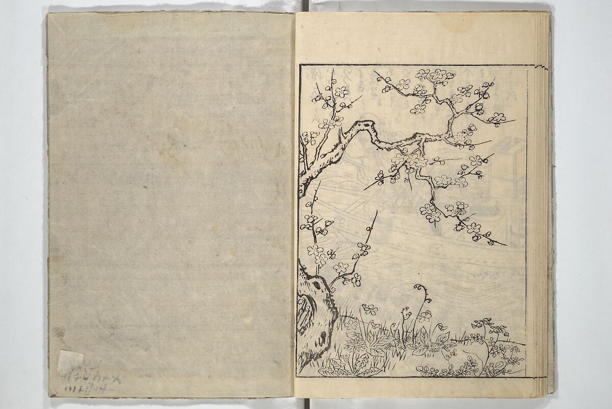 Picture Book of Poems on Shells (Kyōkun chūkai ehon kai kasen) 教訓註解絵本貝歌仙, Nishikawa Sukenobu 西川祐信 (Japanese, 1671–1750), Set of three woodblock printed books; ink on paper, Japan