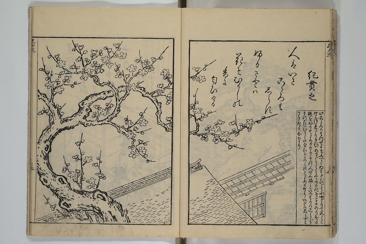 Picture Book of Ogura Hill (Ehon ogurayama) 絵本小倉山, Nishikawa Sukenobu 西川祐信 (Japanese, 1671–1750), Set of three woodblock-printed books bound as one volume; ink on paper, Japan
