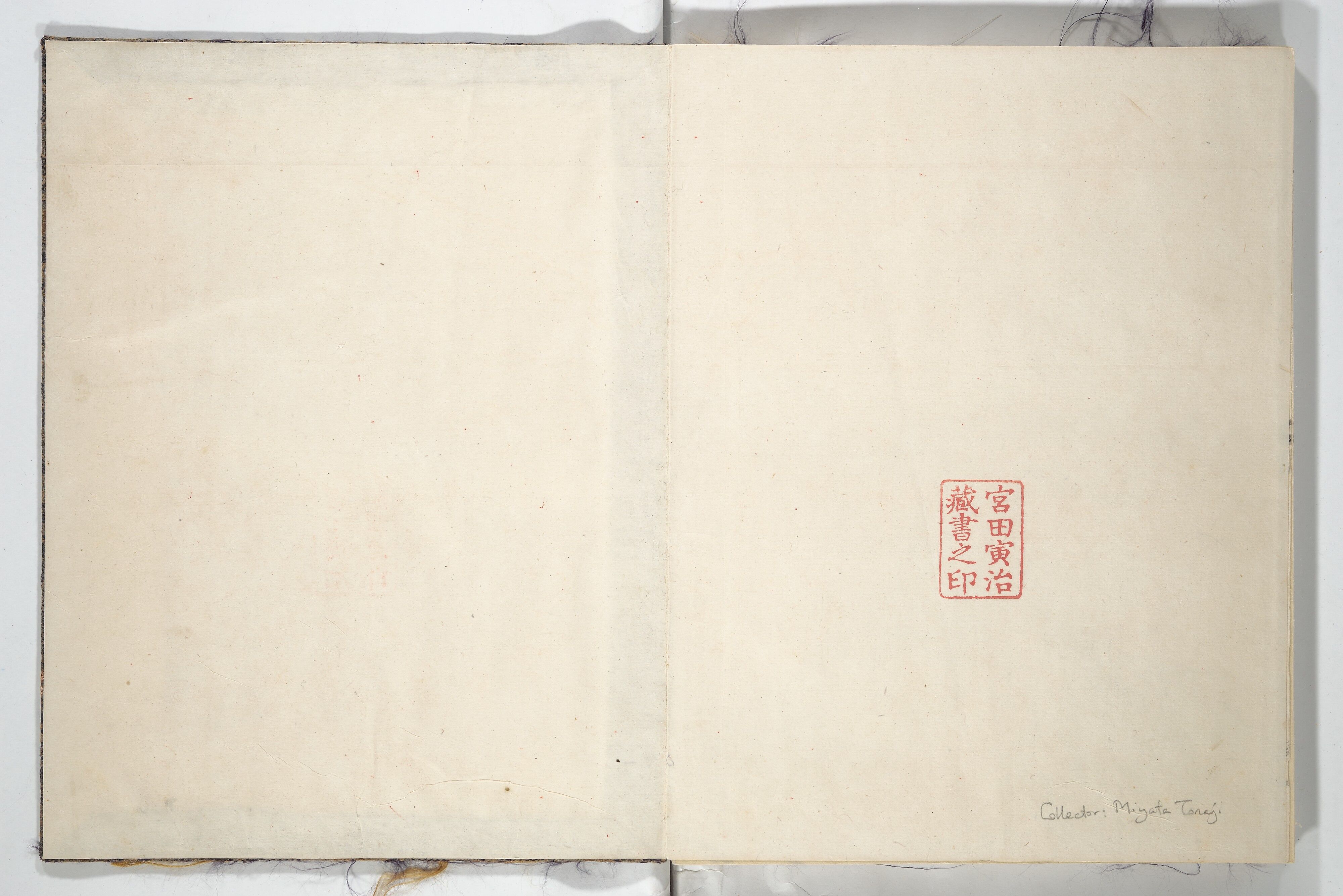 Hine Taizan 日根對山 - Untitled Picture Album of Fifteen Ink