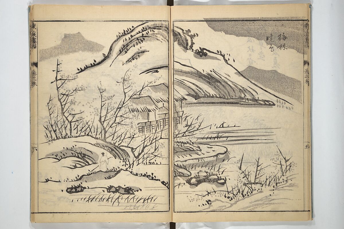 Tōkei Picture Album (Tōkei gafu, fusatsu), Supplementary Series 東渓画譜 附冊, Ogura Tōkei 小倉東渓 (Japanese, active second half of the 18th century), Woodblock printed book; ink on paper, Japan