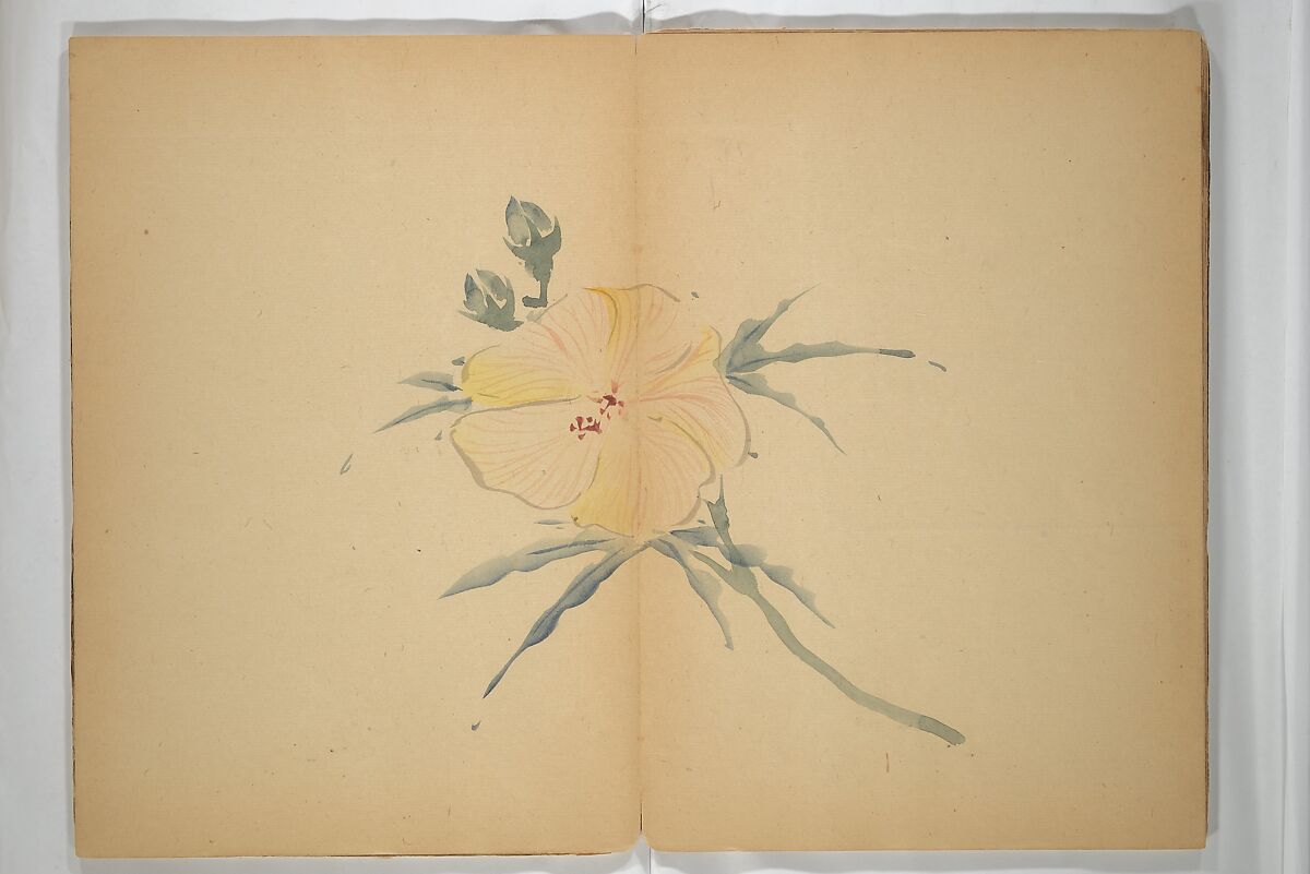Untitled Album of Seventeen Sketches of Birds, Fowers and Landscapes, Shōfusai Tōsen 東泉? (Japanese, active second half of the 19th century), Woodblock printed book; ink and color on paper, Japan
