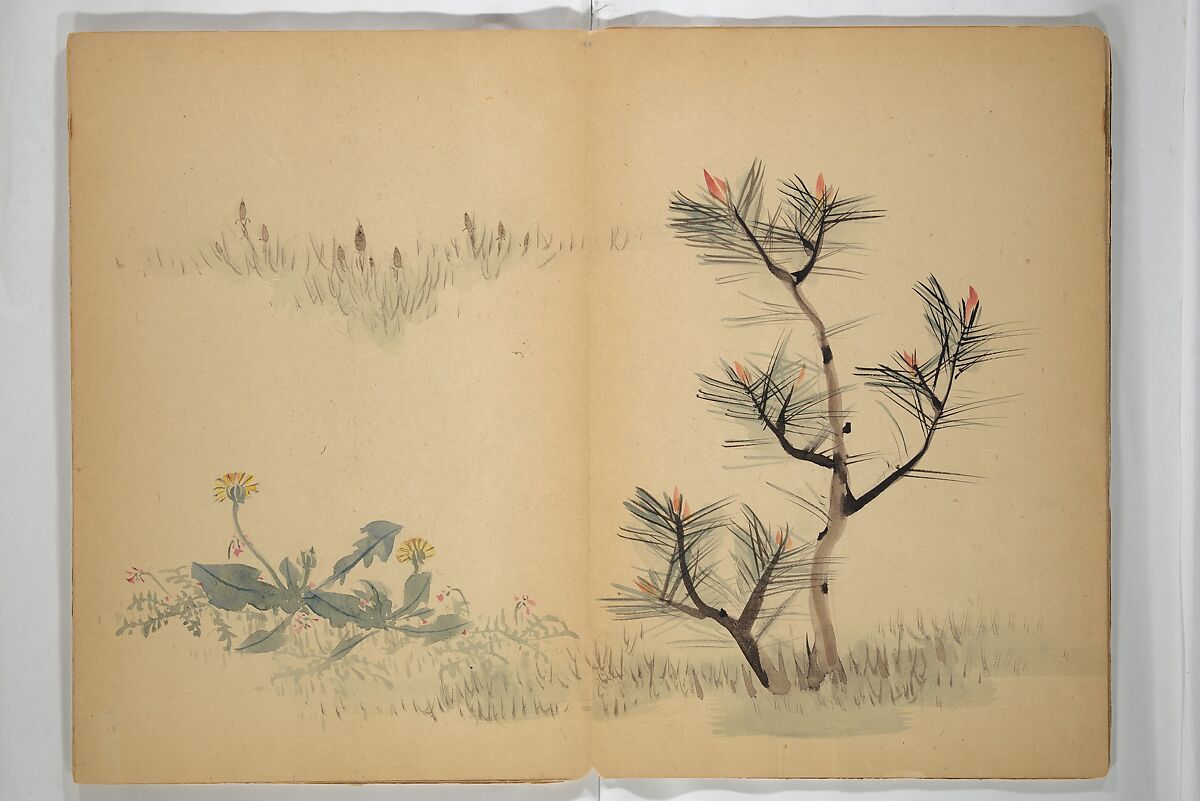 Untitled Album of Seventeen Sketches of Birds, Fowers and Landscapes, Shōfusai Tōsen 東泉? (Japanese, active second half of the 19th century), Woodblock printed book; ink and color on paper, Japan