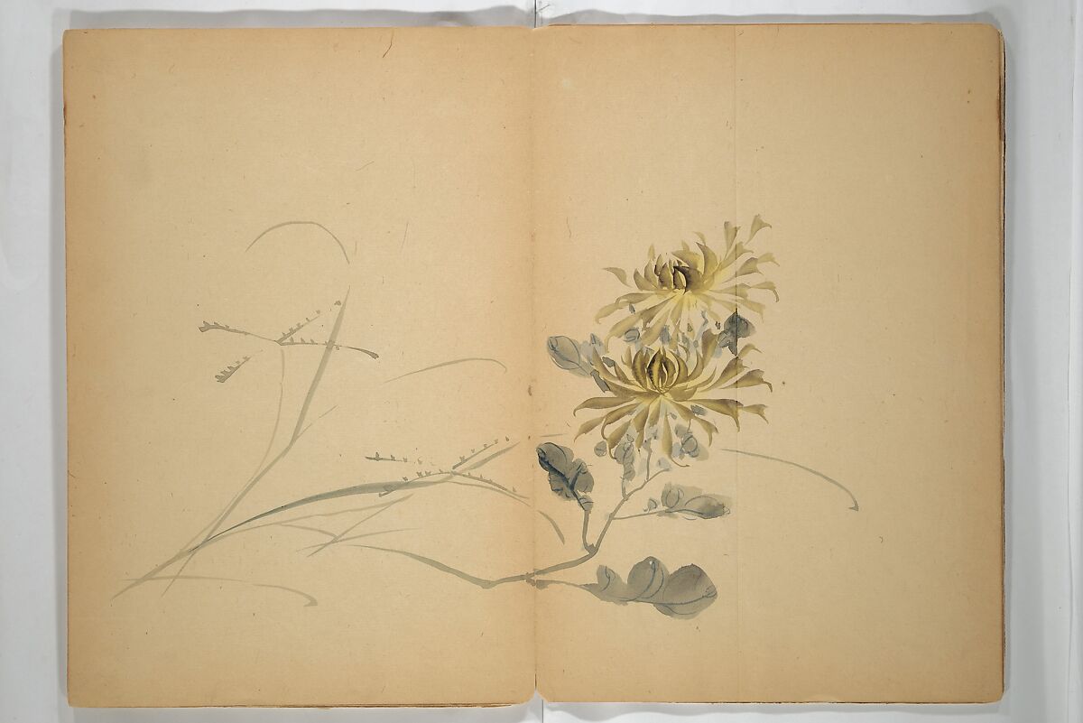 Untitled Album of Seventeen Sketches of Birds, Fowers and Landscapes, Shōfusai Tōsen 東泉? (Japanese, active second half of the 19th century), Woodblock printed book; ink and color on paper, Japan