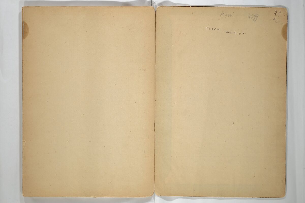 Untitled Album of Seventeen Sketches of Birds, Fowers and Landscapes, Shōfusai Tōsen 東泉? (Japanese, active second half of the 19th century), Woodblock printed book; ink and color on paper, Japan