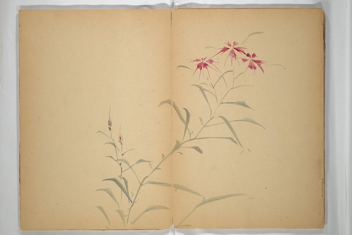 Untitled Album of Seventeen Sketches of Birds, Fowers and Landscapes, Shōfusai Tōsen 東泉? (Japanese, active second half of the 19th century), Woodblock printed book; ink and color on paper, Japan
