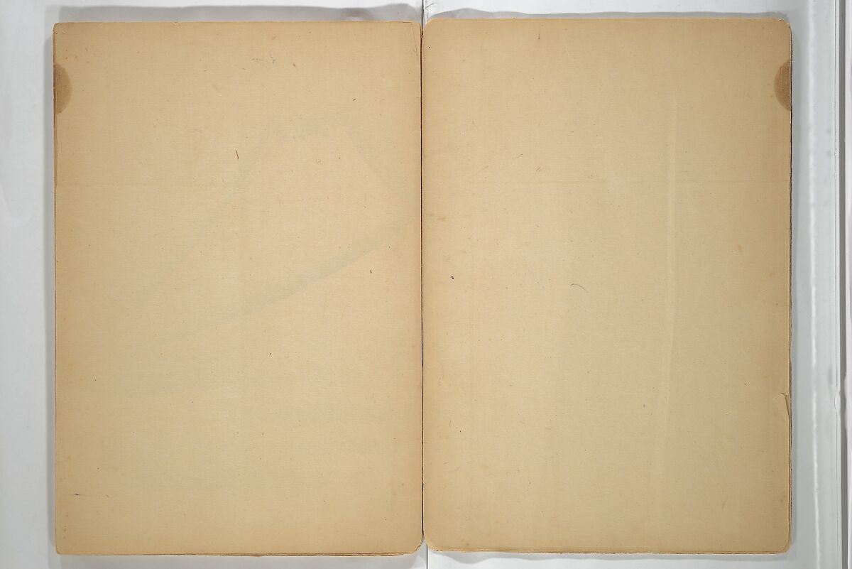 Untitled Album of Seventeen Sketches of Birds, Fowers and Landscapes, Shōfusai Tōsen 東泉? (Japanese, active second half of the 19th century), Woodblock printed book; ink and color on paper, Japan