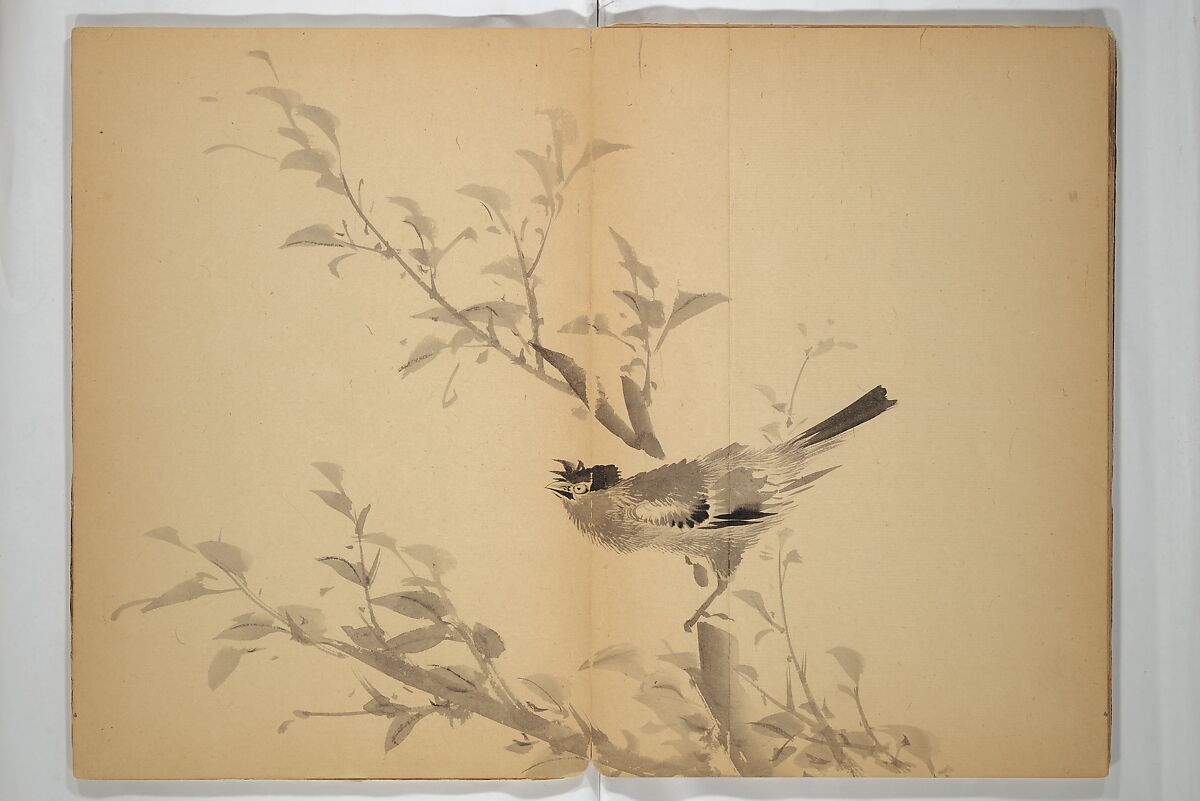 Untitled Album of Seventeen Sketches of Birds, Fowers and Landscapes, Shōfusai Tōsen 東泉? (Japanese, active second half of the 19th century), Woodblock printed book; ink and color on paper, Japan