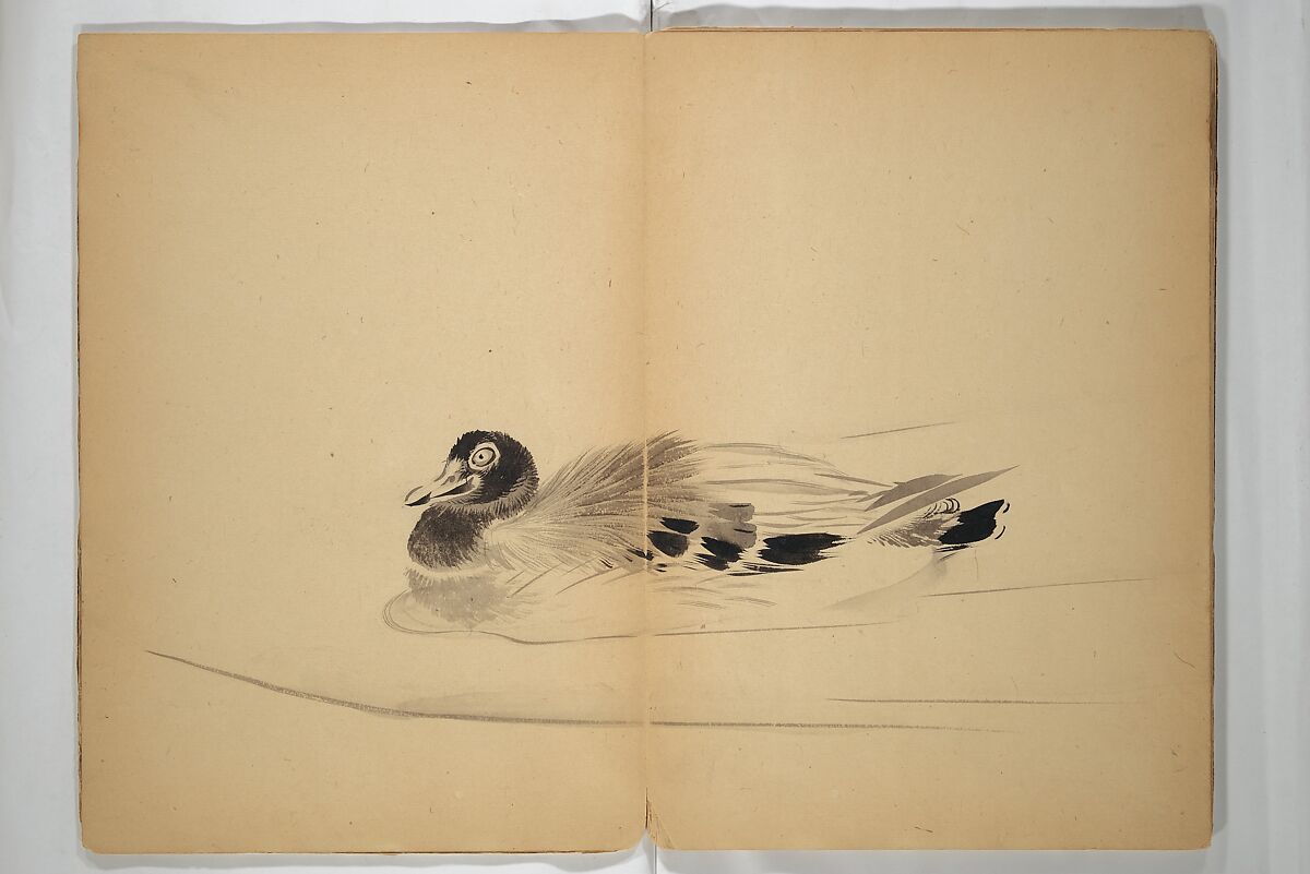 Untitled Album of Seventeen Sketches of Birds, Fowers and Landscapes, Shōfusai Tōsen 東泉? (Japanese, active second half of the 19th century), Woodblock printed book; ink and color on paper, Japan