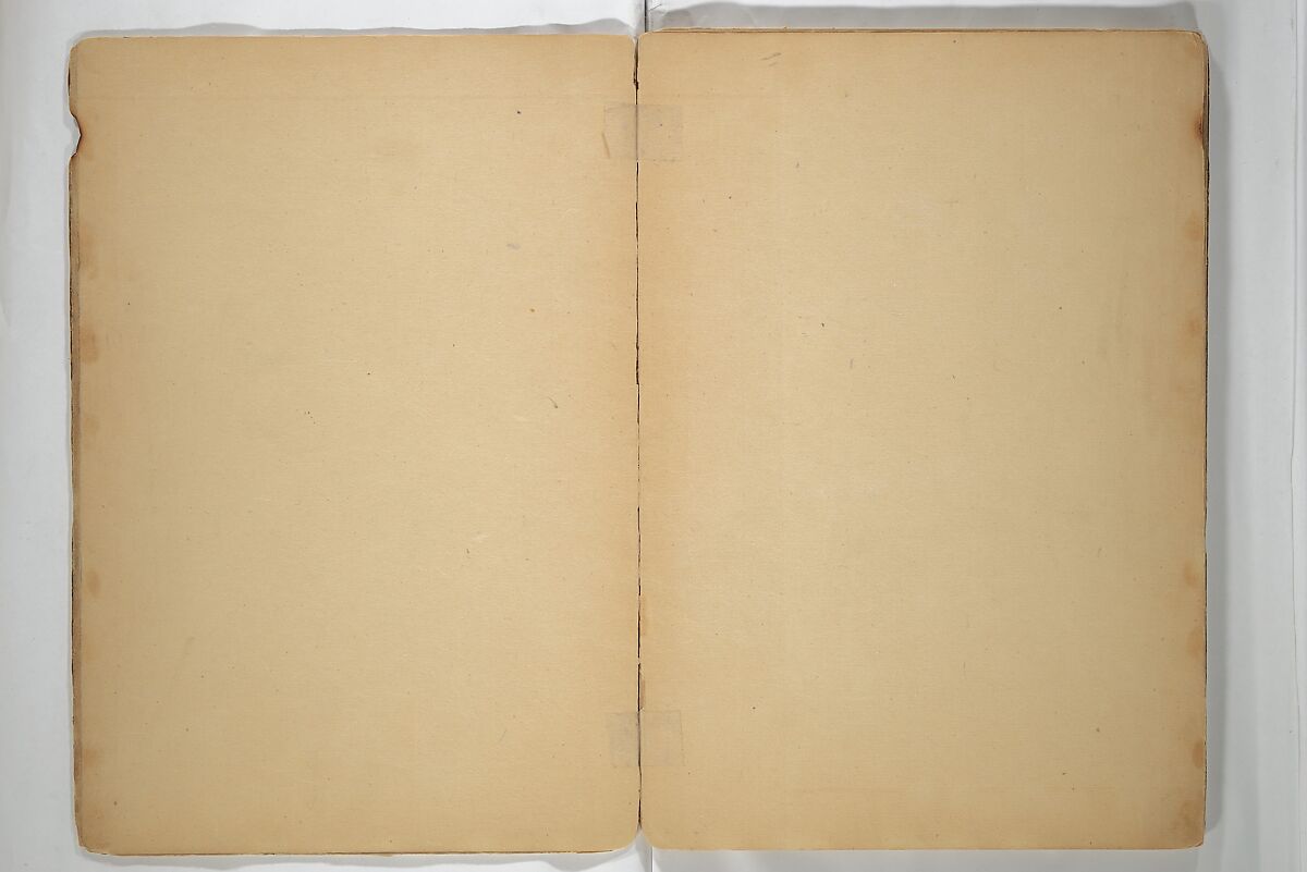 Untitled Album of Seventeen Sketches of Birds, Fowers and Landscapes, Shōfusai Tōsen 東泉? (Japanese, active second half of the 19th century), Woodblock printed book; ink and color on paper, Japan