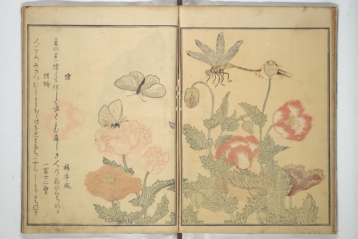 Picture Book of Selected Insects (The Insect Book) (Ehon mushi erami) 画本虫撰, Kitagawa Utamaro 喜多川歌麿 (Japanese, ca. 1754–1806), Set of two woodblock printed books; ink, color, and mica (vol. 2) on paper, Japan