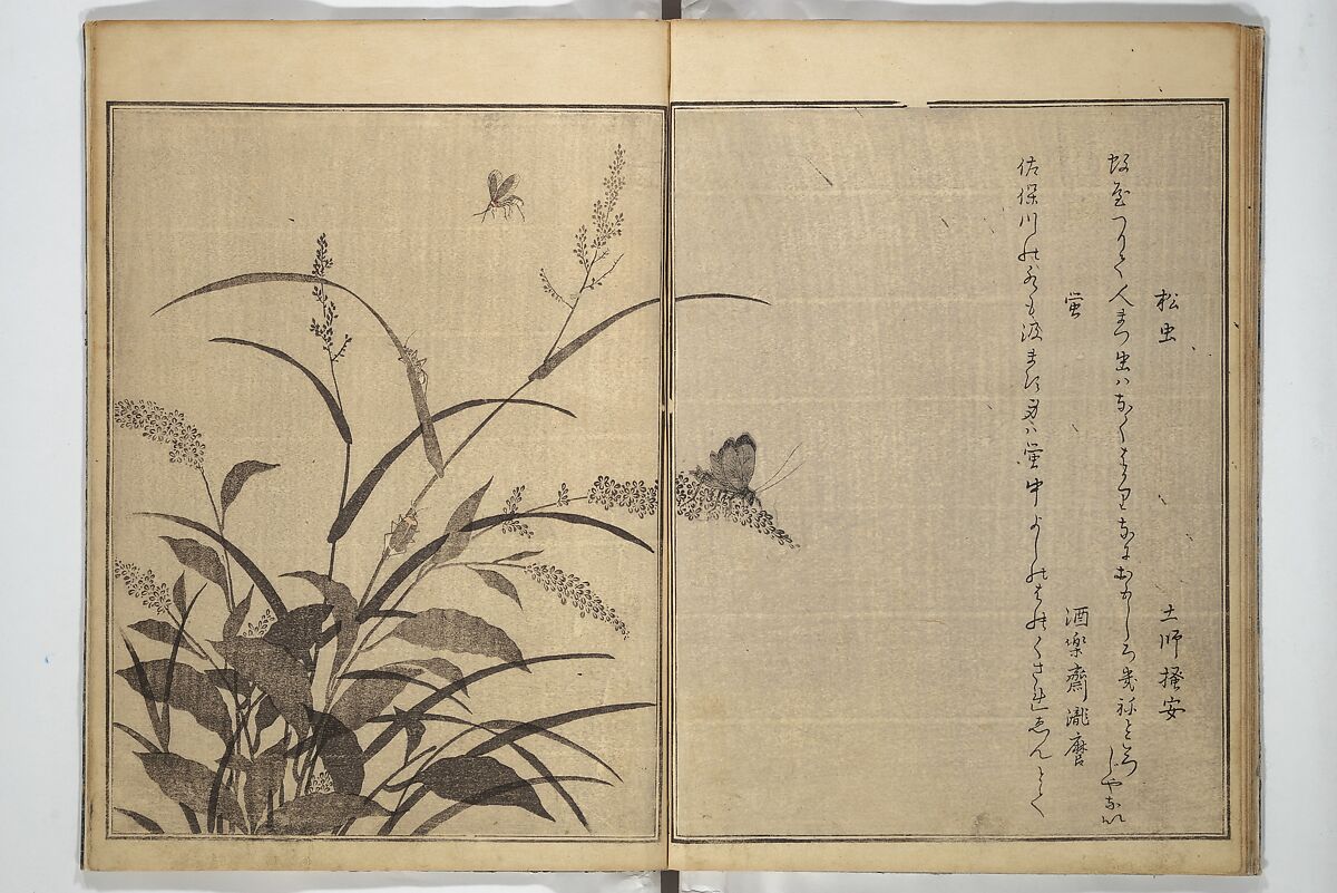 Picture Book of Selected Insects (The Insect Book) (Ehon mushi erami) 画本虫撰, Kitagawa Utamaro 喜多川歌麿 (Japanese, ca. 1754–1806), Set of two woodblock printed books; ink, color, and mica (vol. 2) on paper, Japan